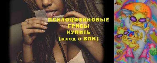 тгк Балахна