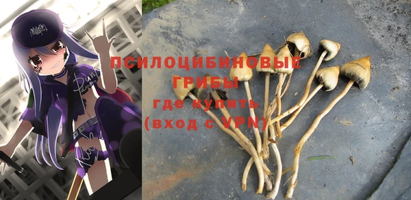 тгк Балахна