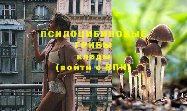 бошки Баксан