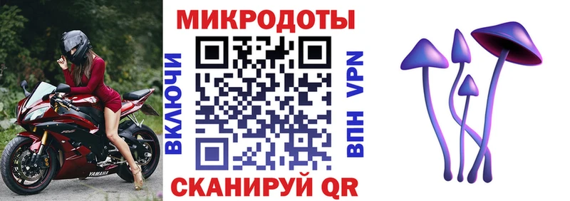 Галлюциногенные грибы MAGIC MUSHROOMS  mega ССЫЛКА  Бор  продажа наркотиков 