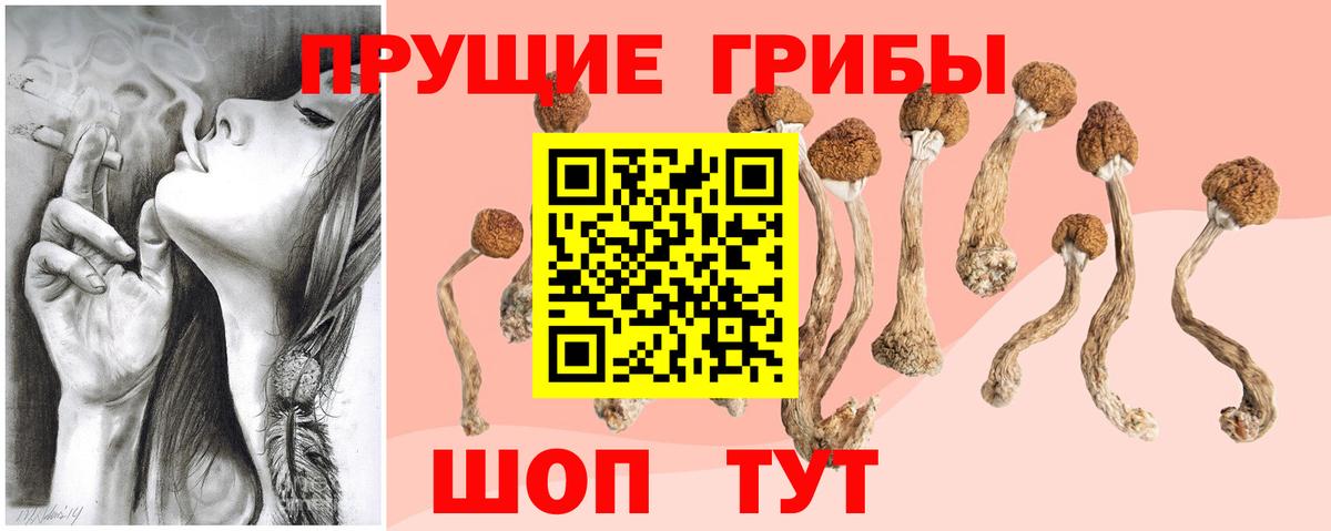 Галлюциногенные грибы Magic Shrooms Бор